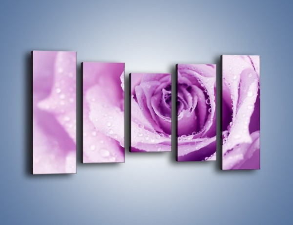 Obraz na płótnie – Jasny fiolet w róży – pięcioczęściowy K894W2