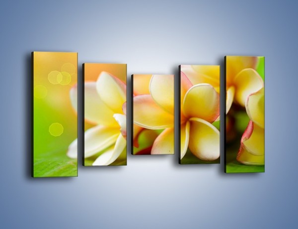 Obraz na płótnie – Kwiaty jak marcepanowe wypieki – pięcioczęściowy K898W2