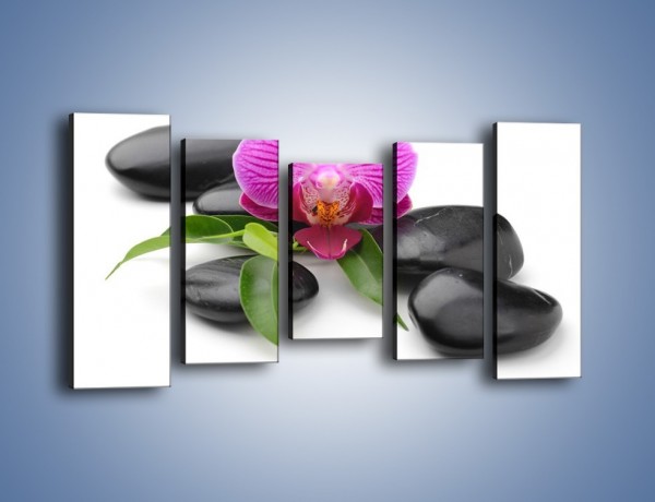 Obraz na płótnie – Kwiat i jego liście – pięcioczęściowy K941W2