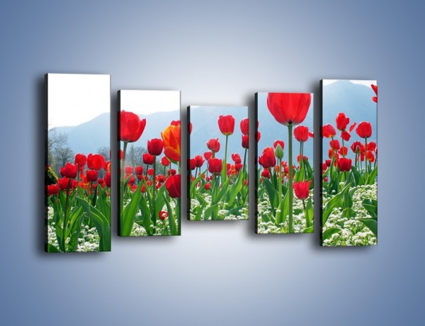 Obraz na płótnie – Konwalie wśród dojrzałych tulipanów – pięcioczęściowy K947W2