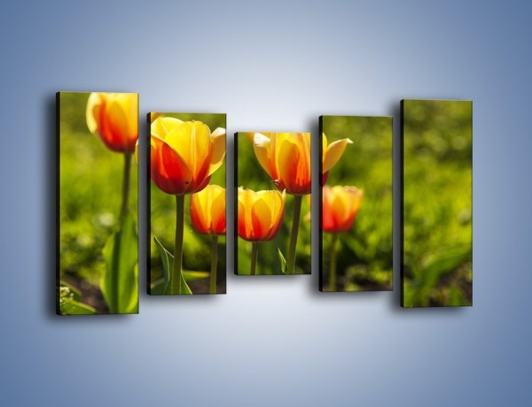 Obraz na płótnie – Pomarańczowe kwiaty i zieleń – pięcioczęściowy K952W2