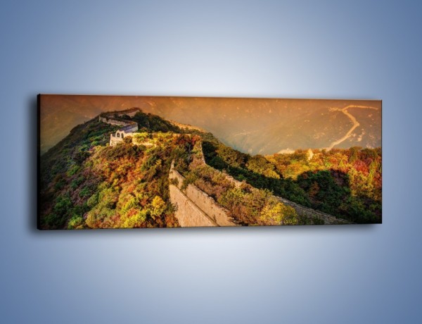 Obraz na płótnie – Zarośnięty krety most – jednoczęściowy panoramiczny KN1020