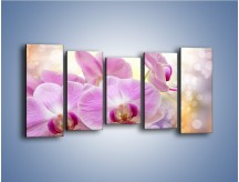 Obraz na płótnie – Lila kwiaty o poranku – pięcioczęściowy K976W2