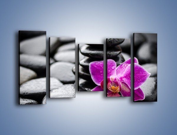 Obraz na płótnie – Malutki kwiatek i morze kamieni – pięcioczęściowy K983W2