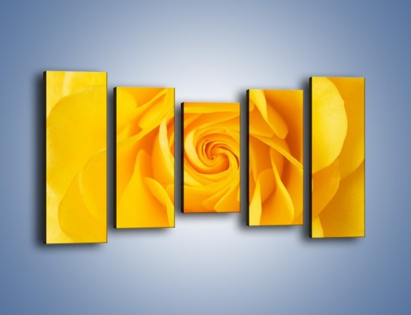 Obraz na płótnie – Moc żółtej róży – pięcioczęściowy K989W2