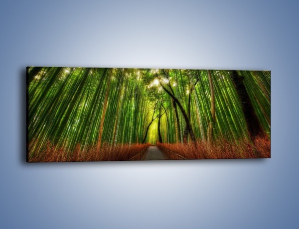 Obraz na płótnie – Przejście pomiędzy drzewami – jednoczęściowy panoramiczny KN1021