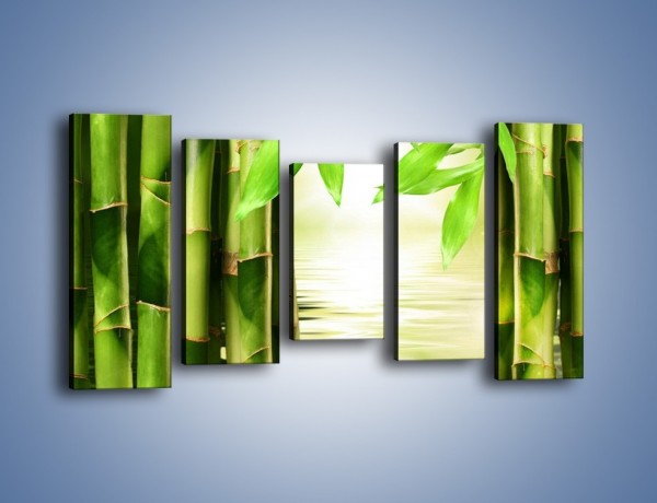 Obraz na płótnie – Bambusowe liście i łodygi – pięcioczęściowy KN027W2