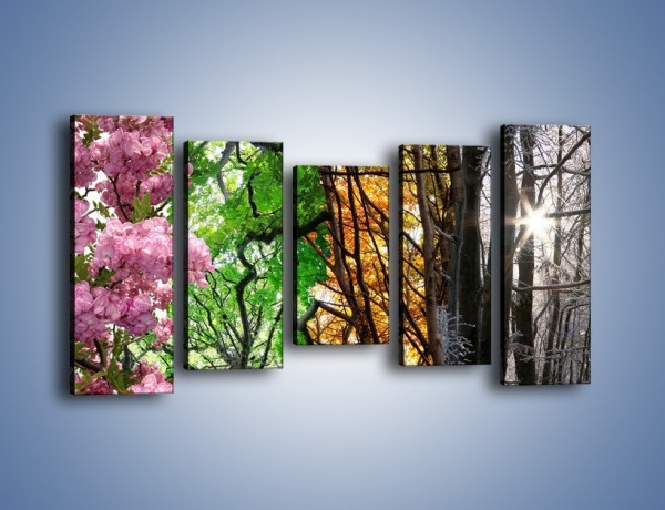 Obraz na płótnie – Drzewa w różnych kolorach – pięcioczęściowy KN037W2
