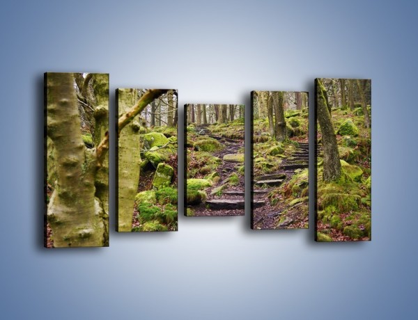 Obraz na płótnie – Schodkami przez las – pięcioczęściowy KN1054W2
