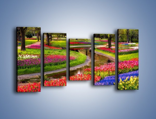 Obraz na płótnie – Aleje kolorowych tulipanów – pięcioczęściowy KN1079W2