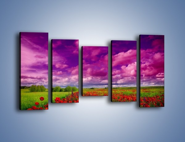 Obraz na płótnie – Maki nad fioletowymi chmurami – pięcioczęściowy KN1079AW2