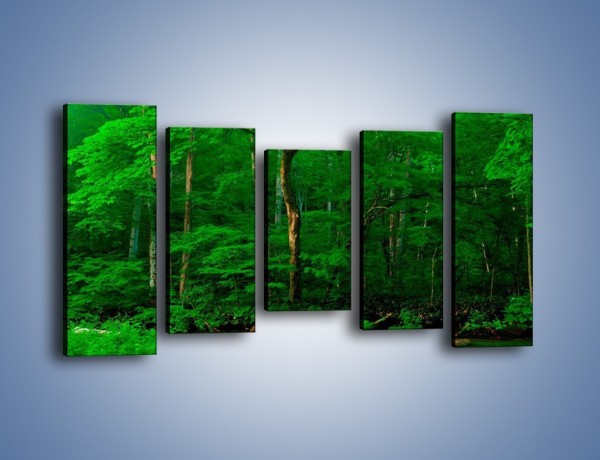 Obraz na płótnie – Mocno zarośnięty las – pięcioczęściowy KN1089AW2