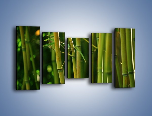 Obraz na płótnie – Bambusowe łodygi z bliska – pięcioczęściowy KN118W2