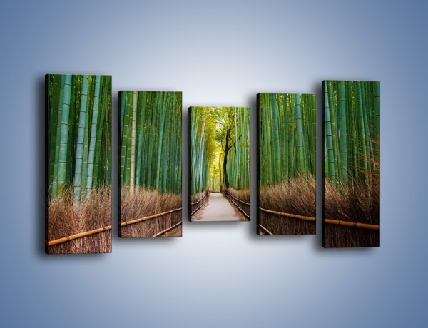 Obraz na płótnie – Bambusowy las – pięcioczęściowy KN1187AW2