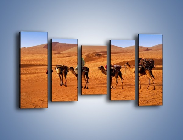 Obraz na płótnie – Idą wielbłądy przez pustynię – pięcioczęściowy KN1237AW2
