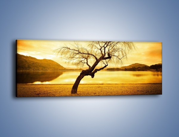 Obraz na płótnie – Pochylone drzewo w sepii – jednoczęściowy panoramiczny KN1033