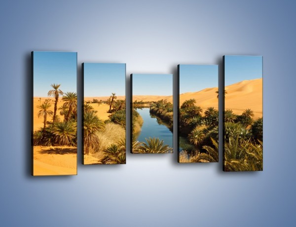 Obraz na płótnie – Woda woda na pustyni – pięcioczęściowy KN1294AW2