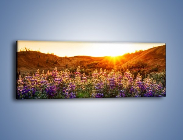 Obraz na płótnie – Kwiaty na pierwszym planie – jednoczęściowy panoramiczny KN1035