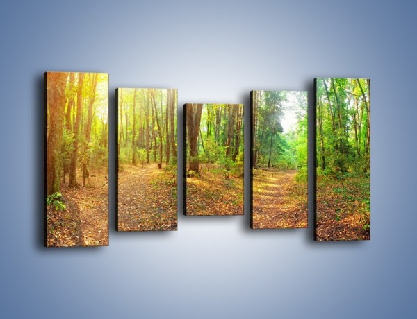 Obraz na płótnie – Przejrzysty piękny las – pięcioczęściowy KN1344AW2
