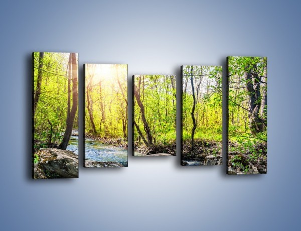 Obraz na płótnie – Opuszczony las wiosną – pięcioczęściowy KN1350AW2