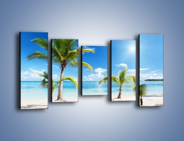Obraz na płótnie – Palmy na pustej plaży – pięcioczęściowy KN245W2