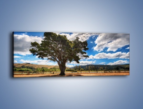 Obraz na płótnie – Cień pod rozłożystym drzewem – jednoczęściowy panoramiczny KN1037