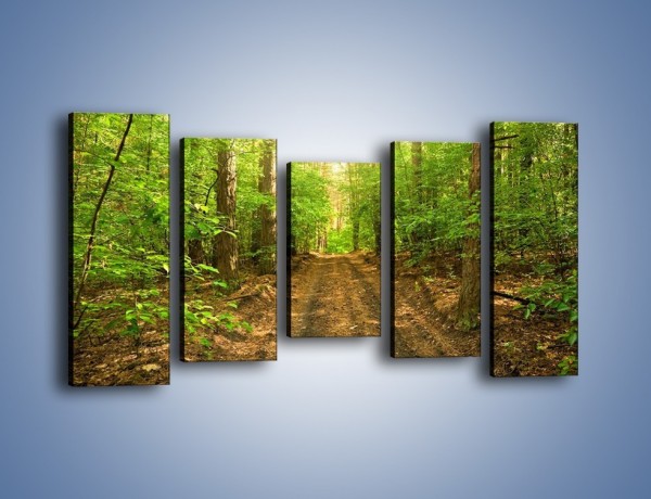 Obraz na płótnie – Leśną drogą jak z filmu – pięcioczęściowy KN324W2
