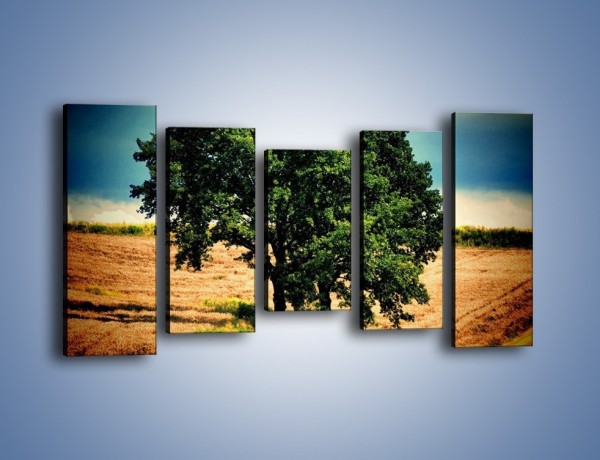 Obraz na płótnie – Para zaprzyjaźnionych drzew – pięcioczęściowy KN571W2