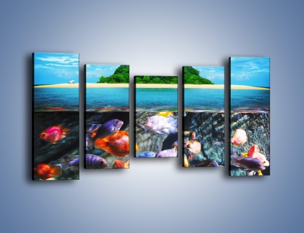 Obraz na płótnie – Kolorowy świat ryb – pięcioczęściowy KN906W2