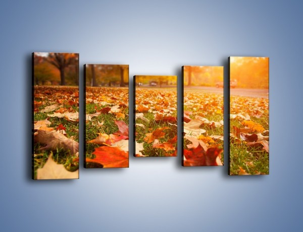 Obraz na płótnie – Jesień na trawie – pięcioczęściowy KN966W2