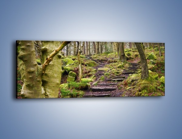 Obraz na płótnie – Schodkami przez las – jednoczęściowy panoramiczny KN1054