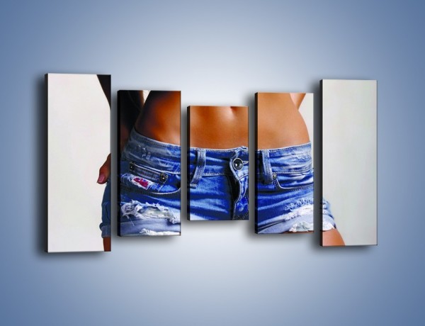 Obraz na płótnie – Najmodniejszy jeansowy fason – pięcioczęściowy L178W2