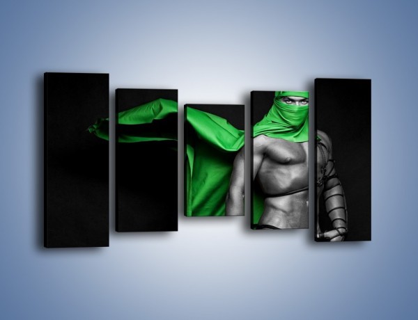 Obraz na płótnie – Zielony ninja – pięcioczęściowy L245W2