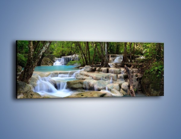 Obraz na płótnie – Wodny leśny świat – jednoczęściowy panoramiczny KN1057