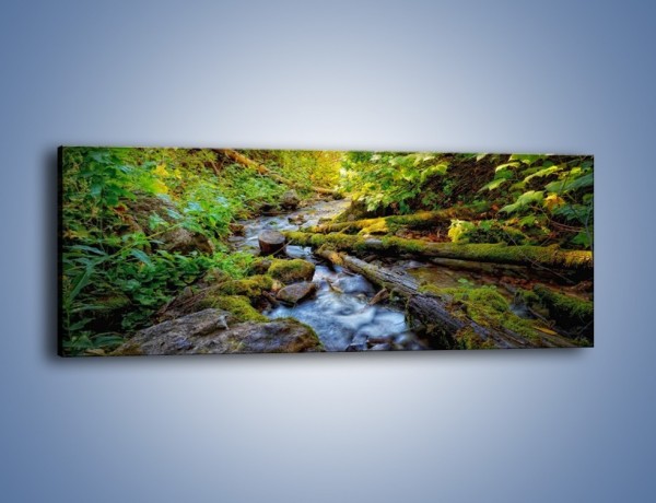 Obraz na płótnie – Drewno ścięte do wody – jednoczęściowy panoramiczny KN1059