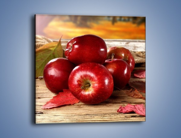 Obraz na płótnie – Dojrzałe jabłka porą jesienną – jednoczęściowy kwadratowy JN741
