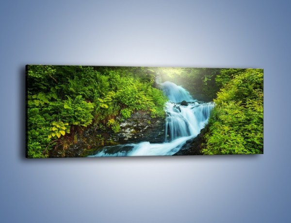 Obraz na płótnie – Spływ wodny i zieleń – jednoczęściowy panoramiczny KN1069
