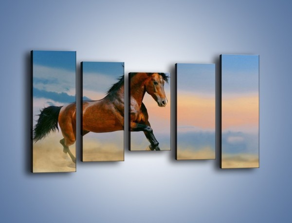 Obraz na płótnie – Brązowy koń na pustyni – pięcioczęściowy Z011W2