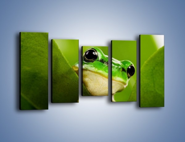 Obraz na płótnie – Zielony świat żabki – pięcioczęściowy Z014W2