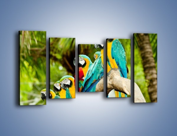 Obraz na płótnie – Kolorowe papugi w szeregu – pięcioczęściowy Z029W2