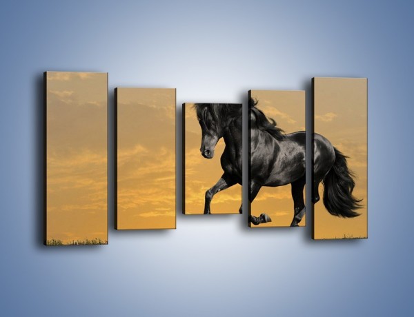 Obraz na płótnie – Bieg z koniem po polanie – pięcioczęściowy Z057W2