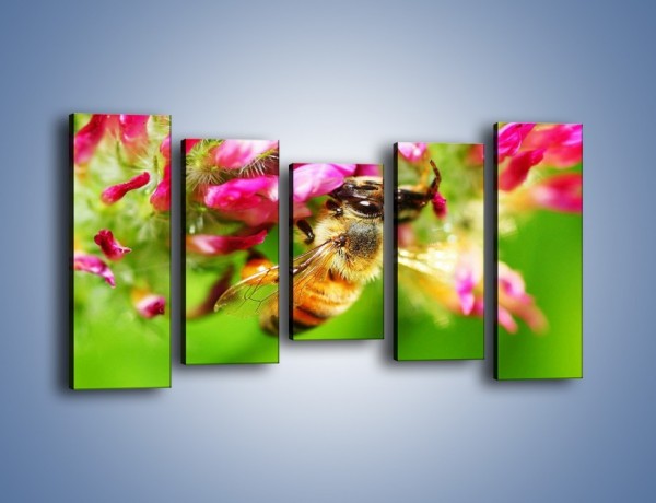 Obraz na płótnie – Pszczoły kochają kwiaty – pięcioczęściowy Z065W2