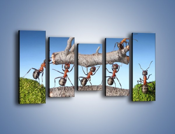 Obraz na płótnie – Pracowite jak mróweczki – pięcioczęściowy Z133W2