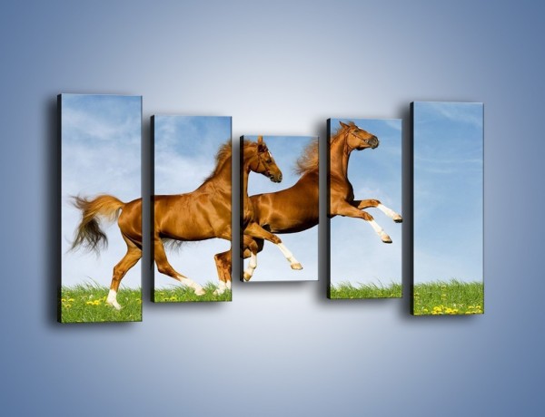 Obraz na płótnie – Skok przez pole z końmi – pięcioczęściowy Z147W2