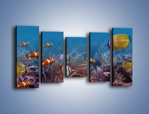 Obraz na płótnie – Ocean i jego kolorowi towarzysze – pięcioczęściowy Z168W2