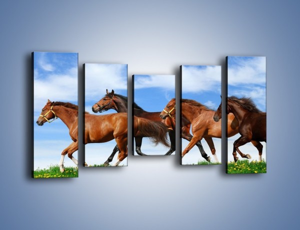 Obraz na płótnie – Galopujące stado brązowych koni – pięcioczęściowy Z172W2