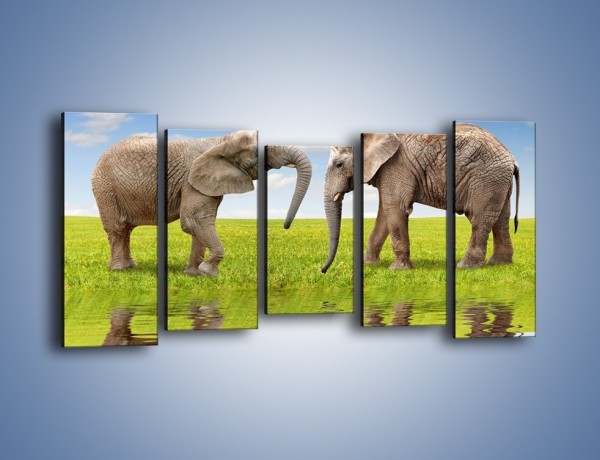 Obraz na płótnie – Poważne rozmowy słoni – pięcioczęściowy Z228W2