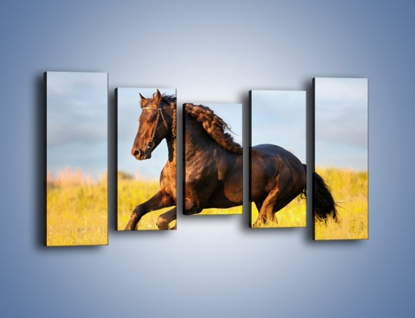 Obraz na płótnie – Dziki koń i jego mięśnie – pięcioczęściowy Z232W2