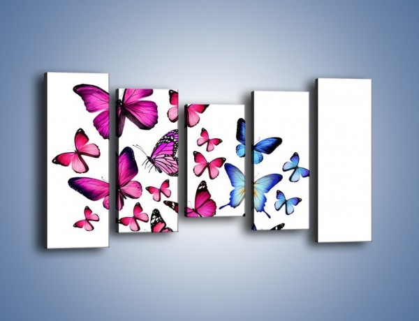 Obraz na płótnie – Rodzina kolorowych motyli – pięcioczęściowy Z235W2