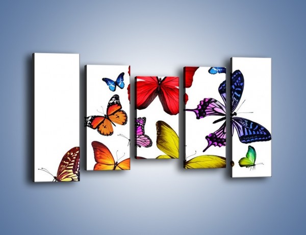 Obraz na płótnie – Kolorowo wśród motyli – pięcioczęściowy Z236W2